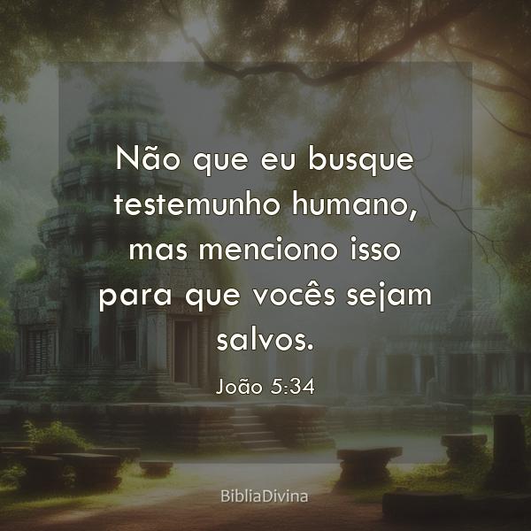 João 5:34