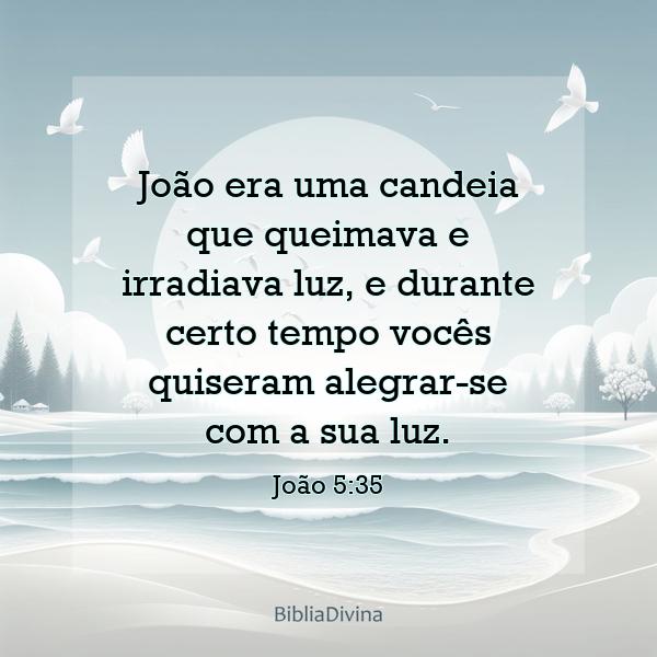 João 5:35