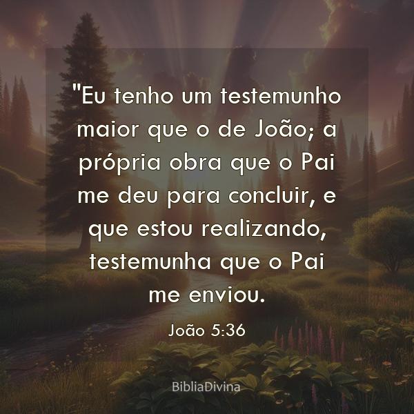 João 5:36