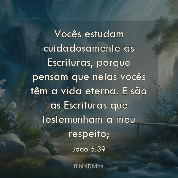 João 5:39