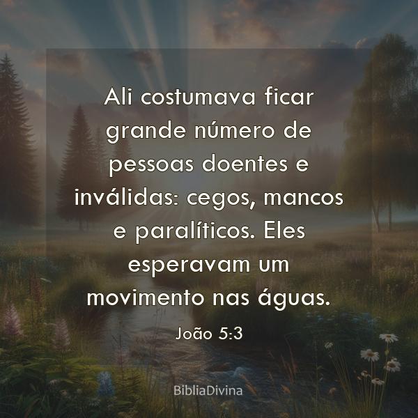 João 5:3