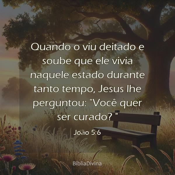 João 5:6