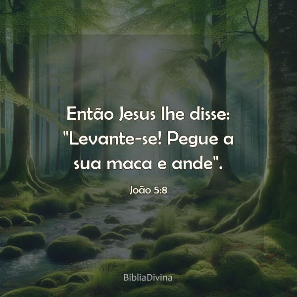 João 5:8