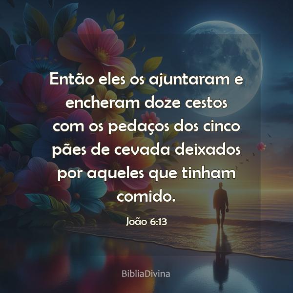 João 6:13