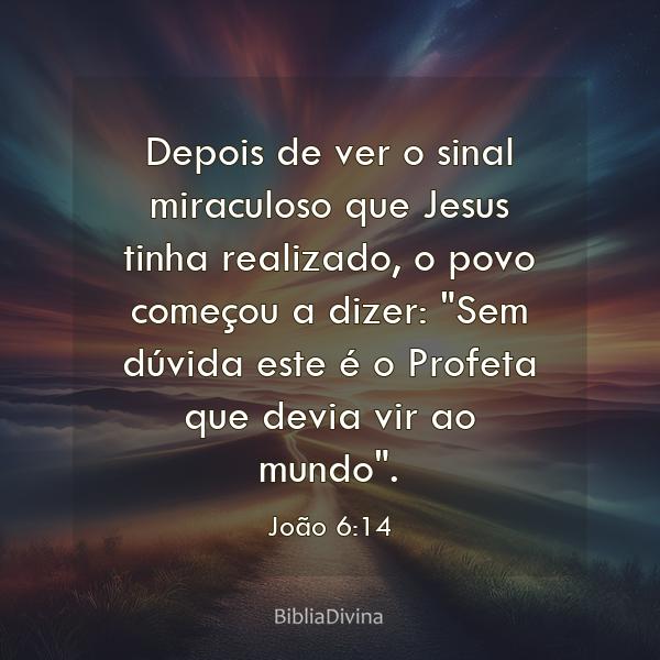 João 6:14