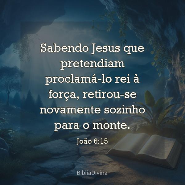 João 6:15