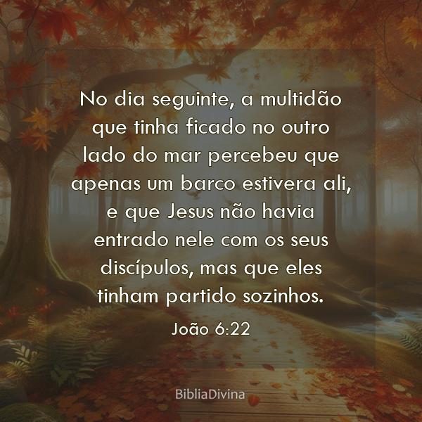 João 6:22