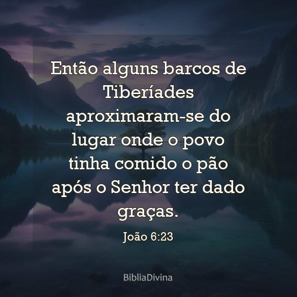 João 6:23