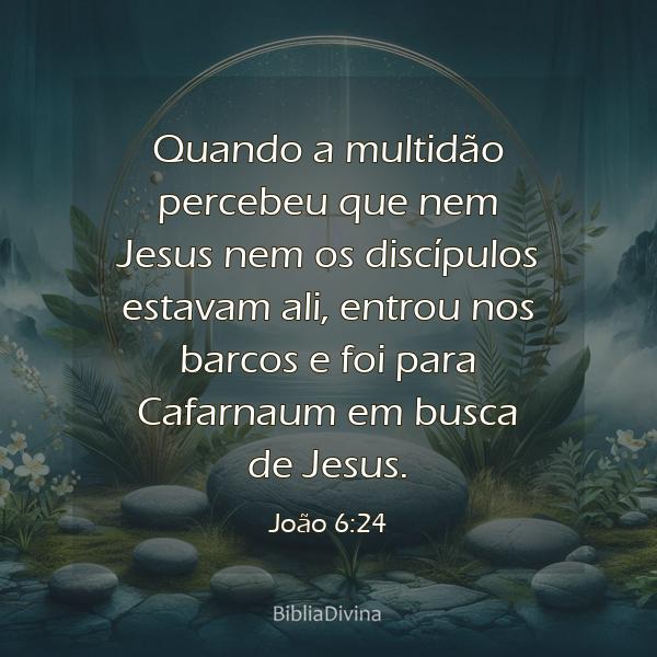 João 6:24