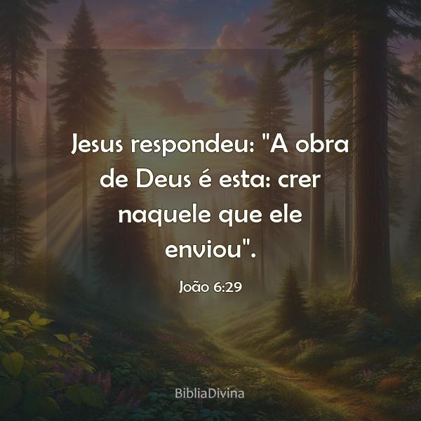 João 6:29