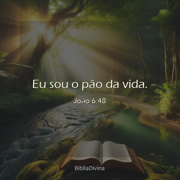 João 6:48