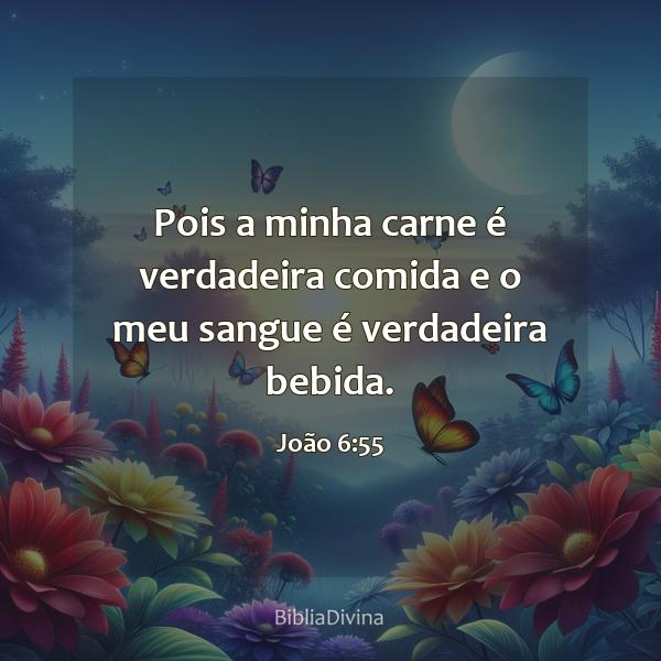 João 6:55