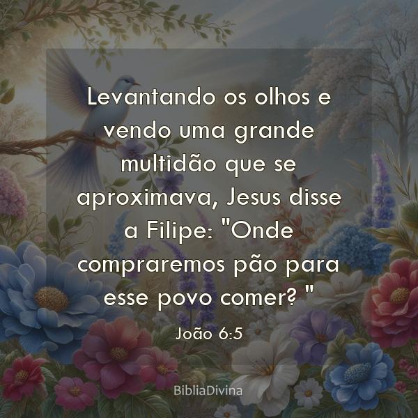 João 6:5