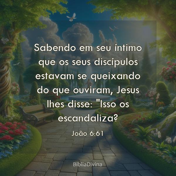 João 6:61