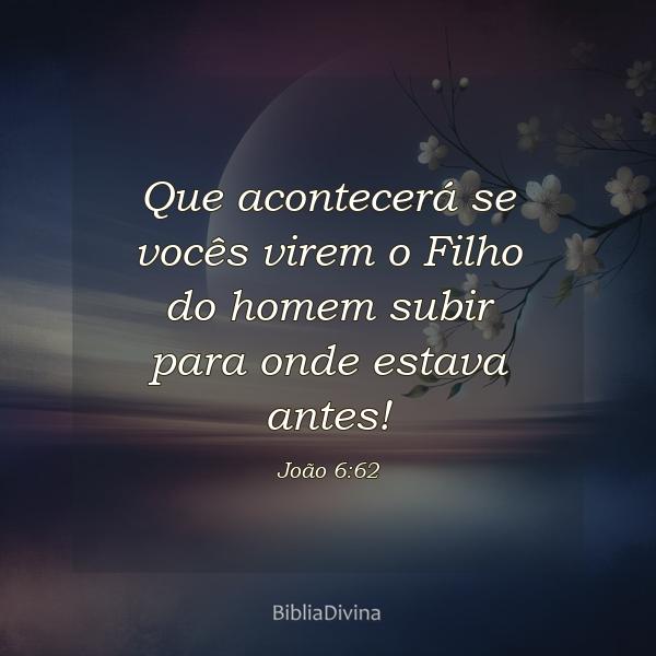 João 6:62