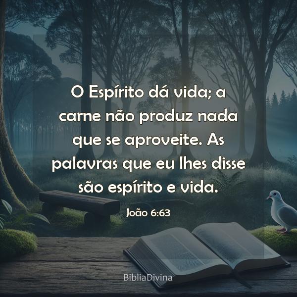 João 6:63