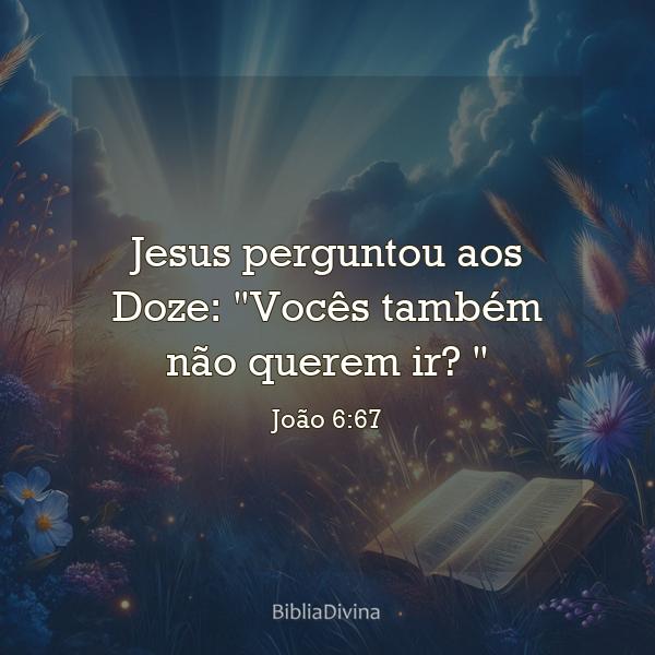 João 6:67