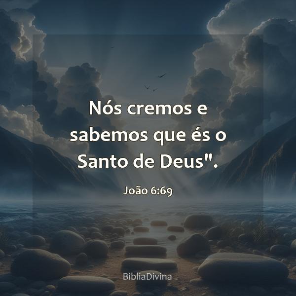 João 6:69