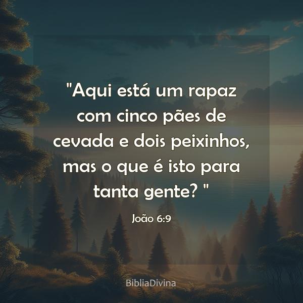 João 6:9