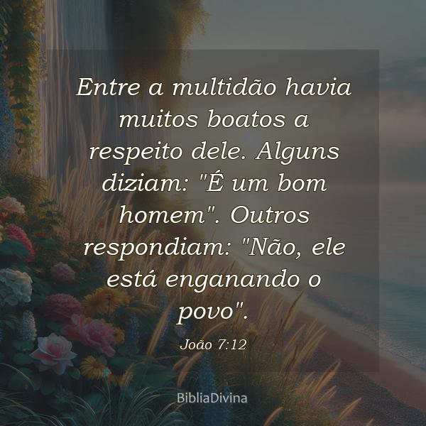 João 7:12