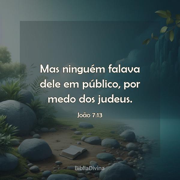 João 7:13