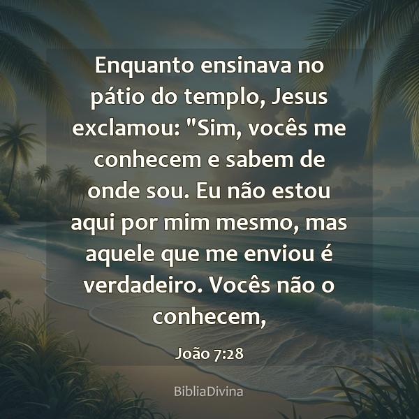 João 7:28