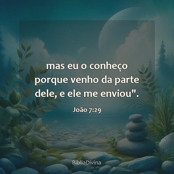 João 7:29