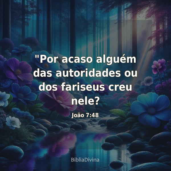 João 7:48