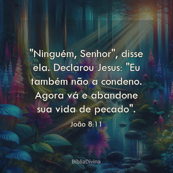 João 8:11