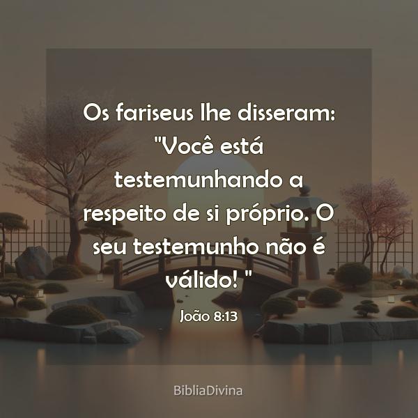 João 8:13