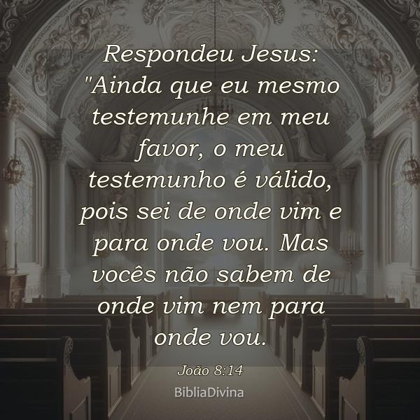 João 8:14