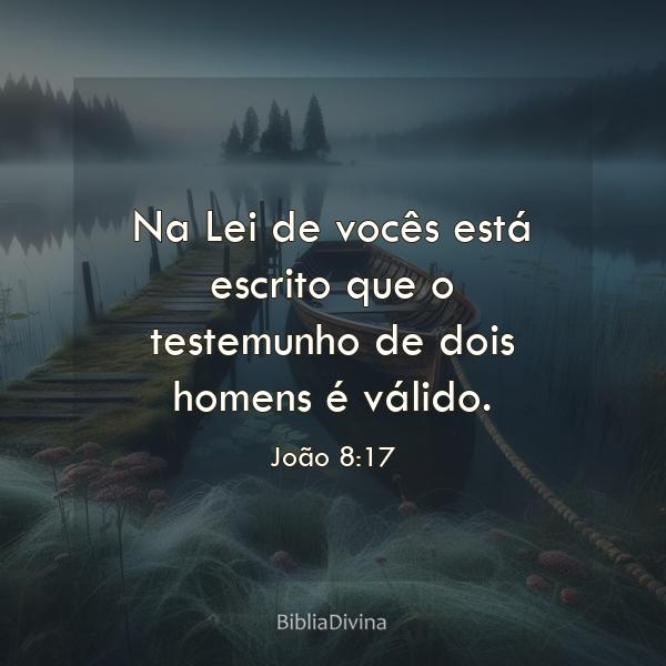 João 8:17