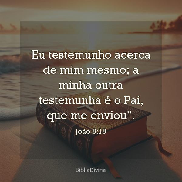 João 8:18