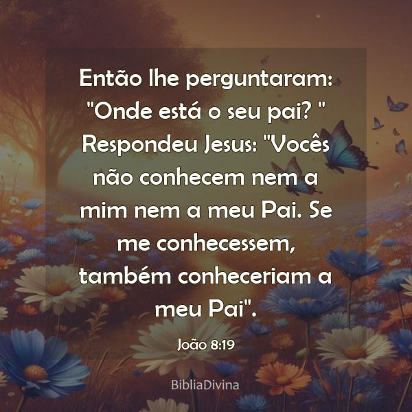 João 8:19