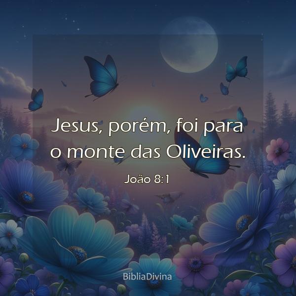 João 8:1