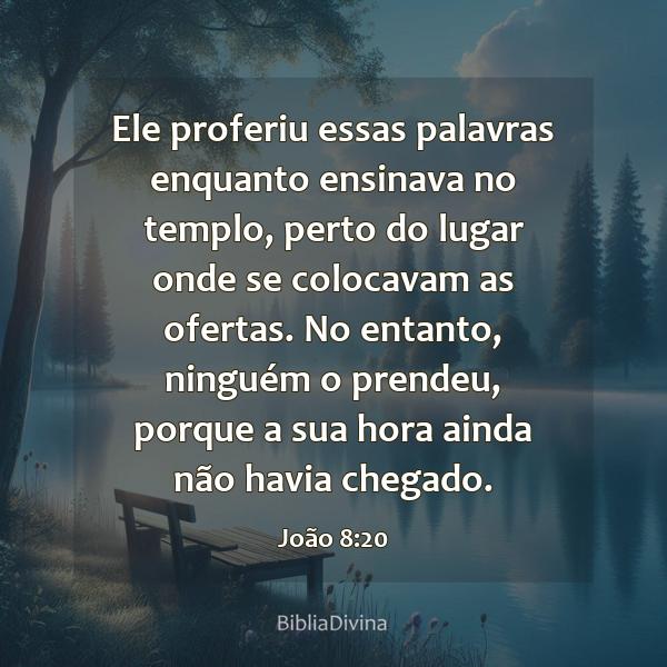 João 8:20