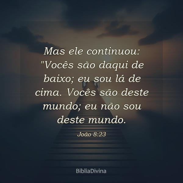 João 8:23