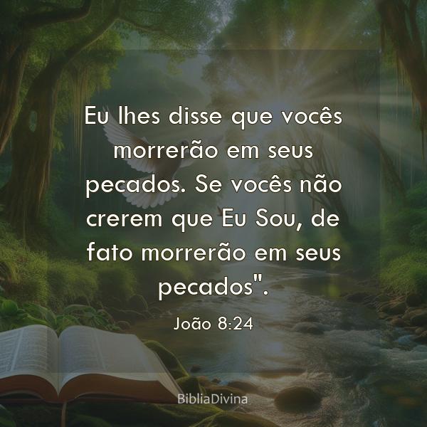 João 8:24