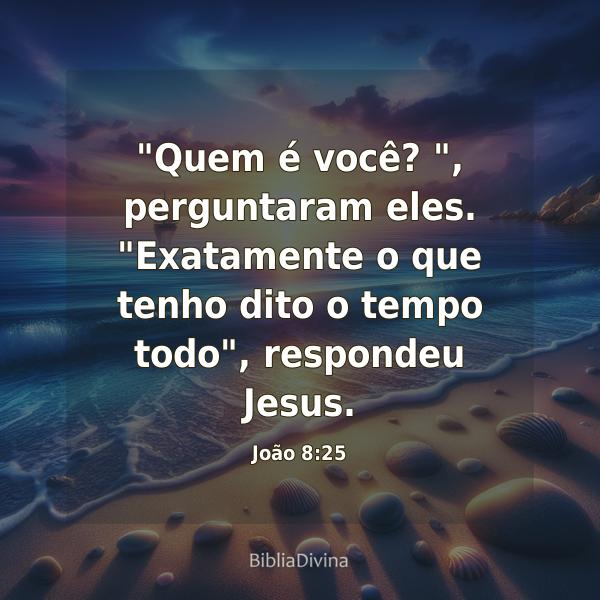 João 8:25