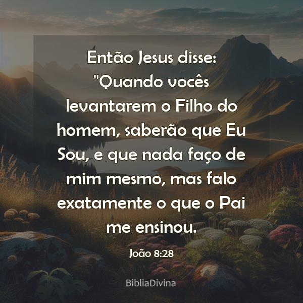 João 8:28