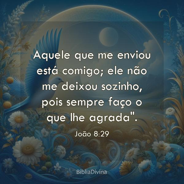 João 8:29