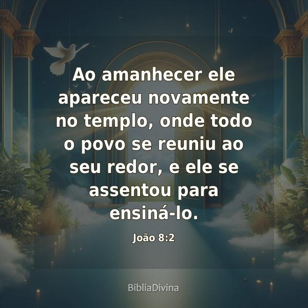 João 8:2