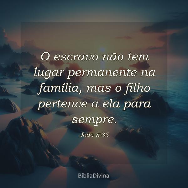 João 8:35