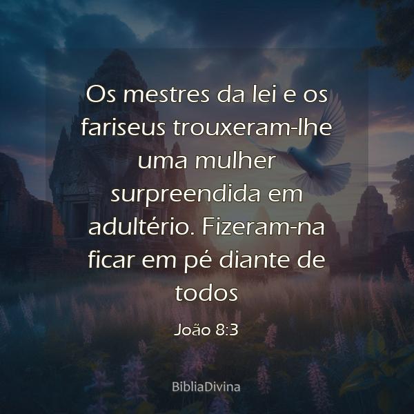 João 8:3