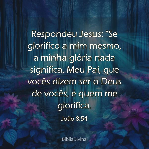 João 8:54