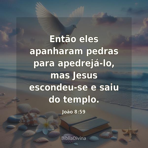 João 8:59