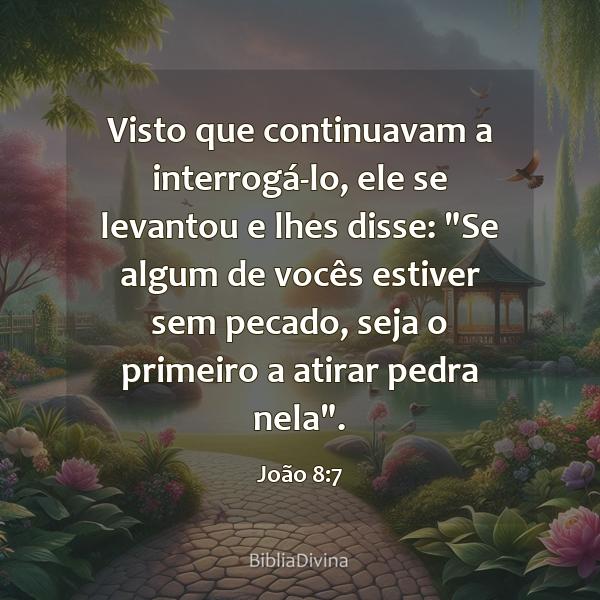 João 8:7