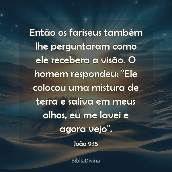 João 9:15