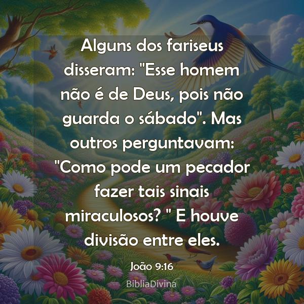 João 9:16