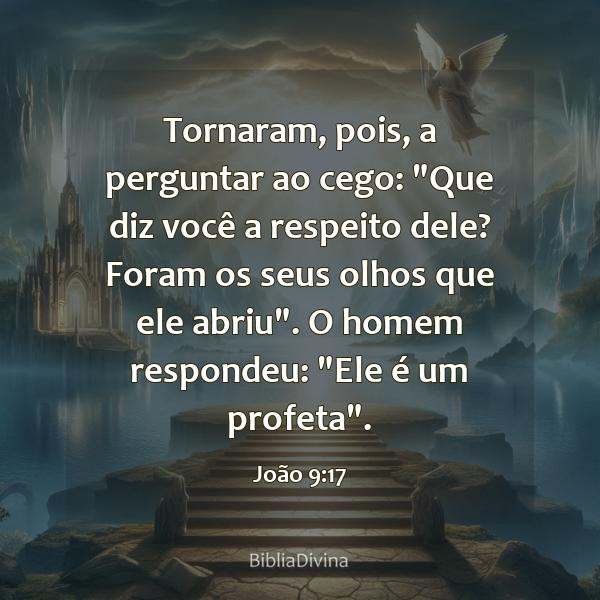 João 9:17